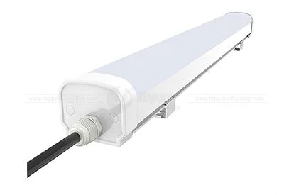 IK08 EVO Tri-proof Light